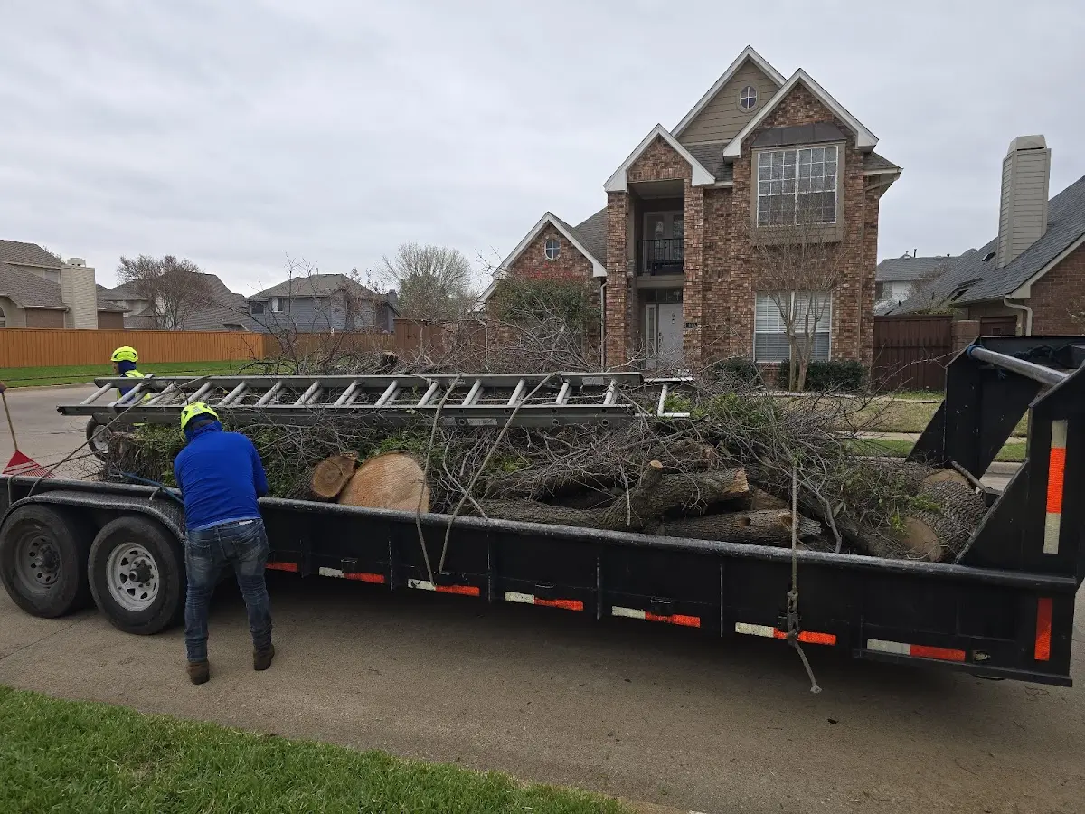 Expert Crown Reduction with proper safety equipment in Lake Villa
